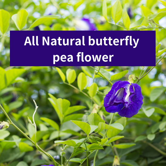 Butterfly Pea Flower: Nature's Color Magic for Health and Beauty